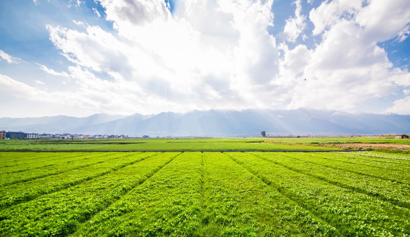 Agricultural Technology