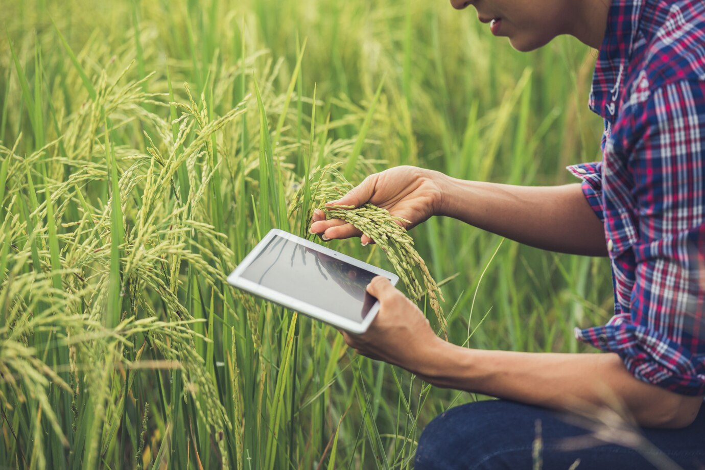 Crop Management