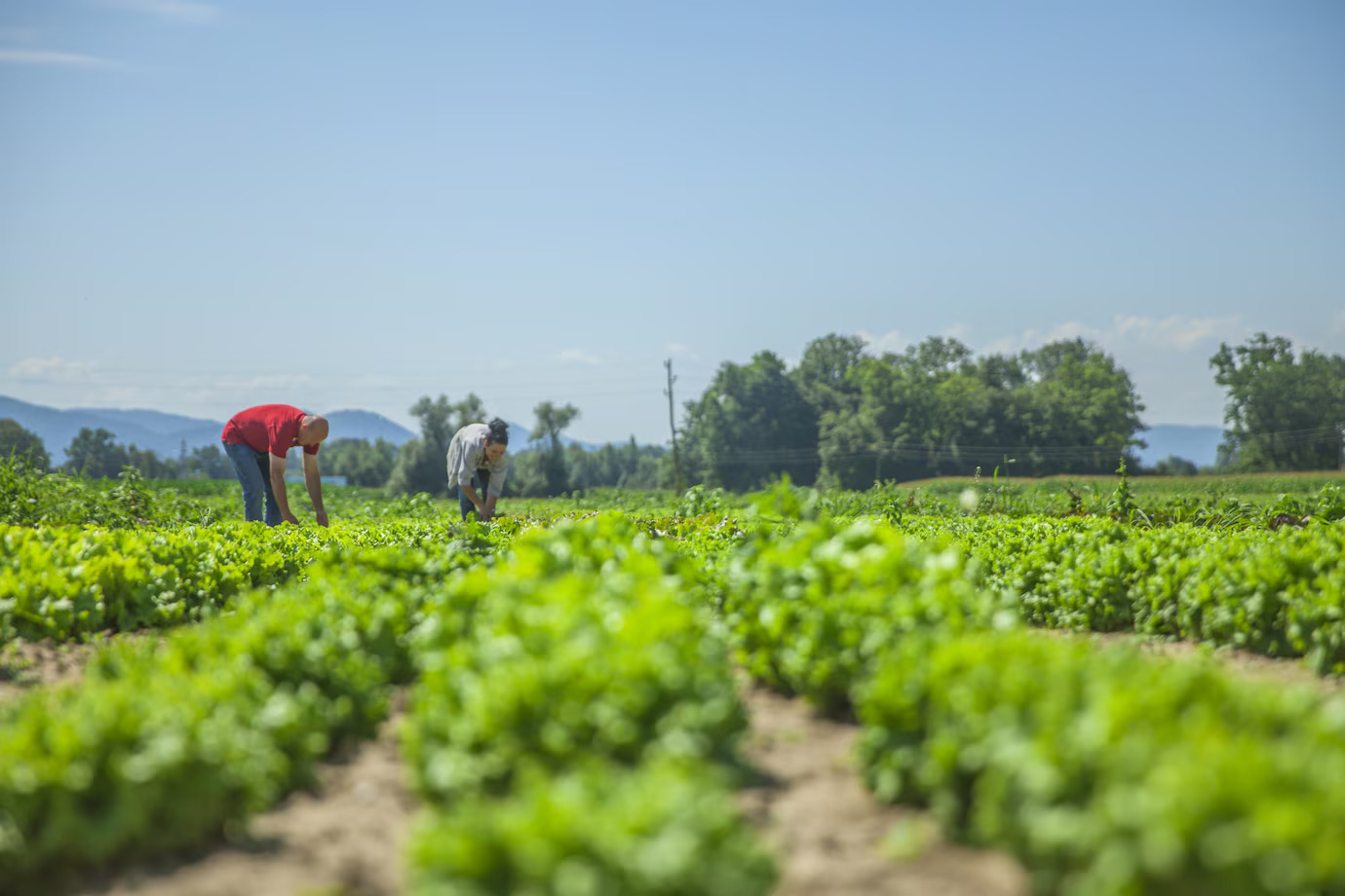 Agri Science Co. Facility